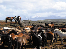 Iceland-Northern Tours-Diamond Circle Ride